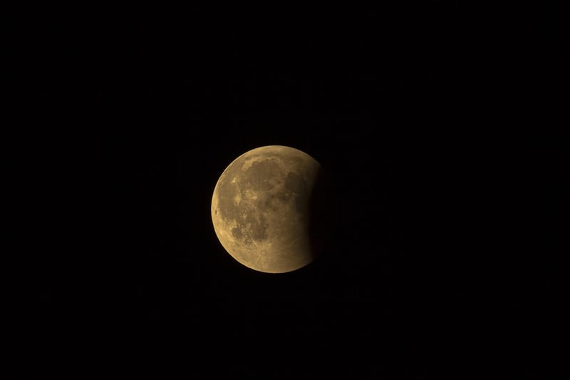 Moon Phase Backdrops